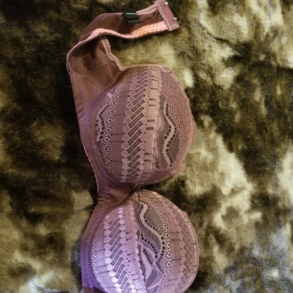 36B bra